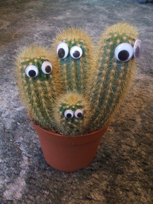 a cactus with googly eyes sitting in a pot