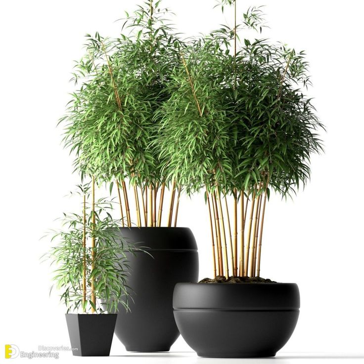 three black planters with green plants in them on a white background, 3d rendering