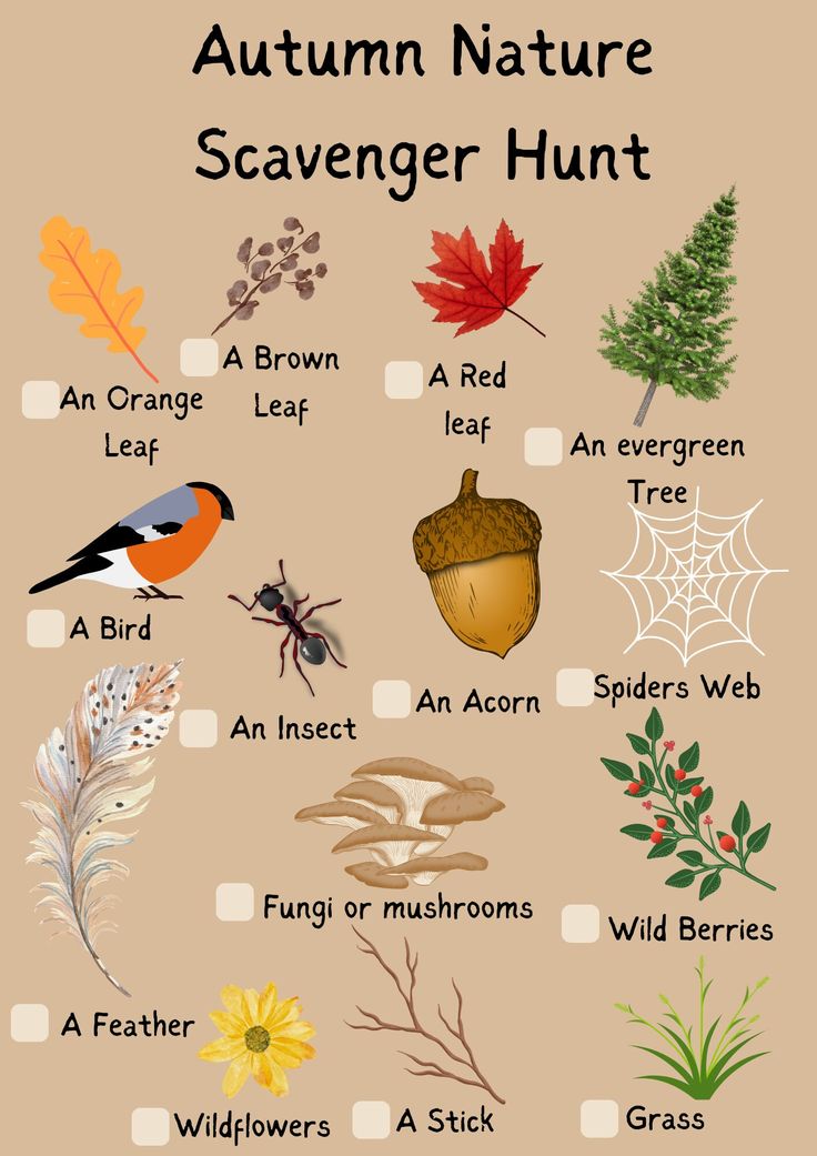 an autumn nature scavenger hunt is shown