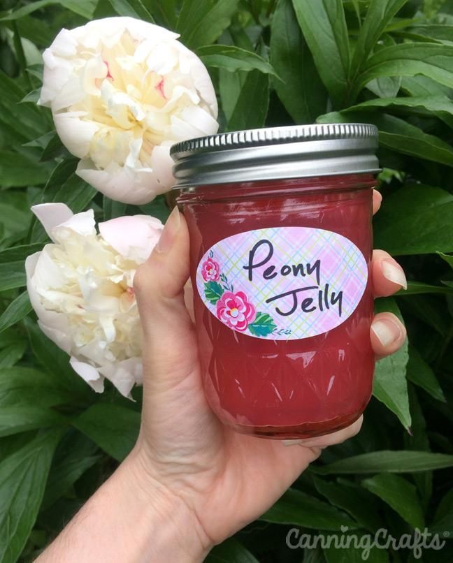 a person holding a jar of jam in front of some flowers and plants with the words pomy jelly on it