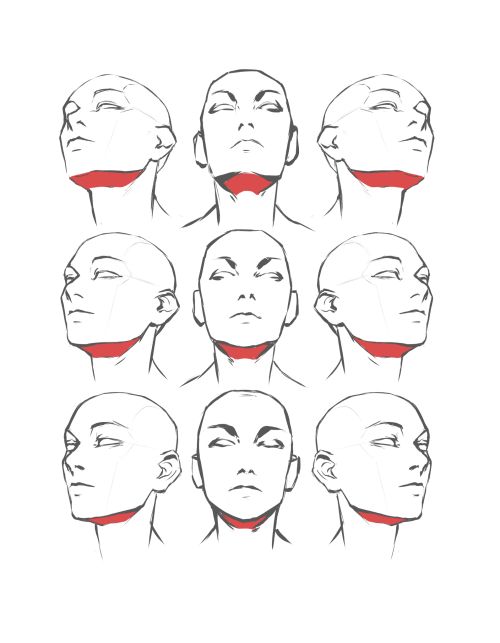 a drawing of different angles of the head and neck, with various facial expressions on each side