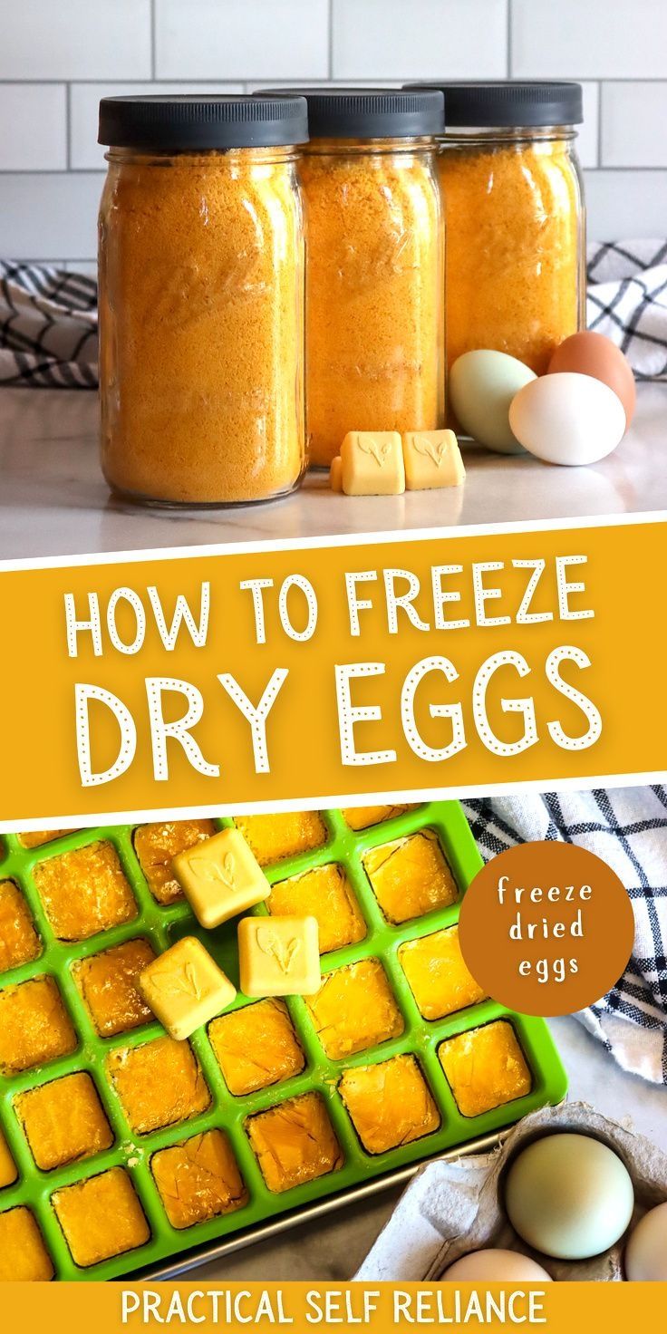 how to freeze dry eggs in jars with text overlay