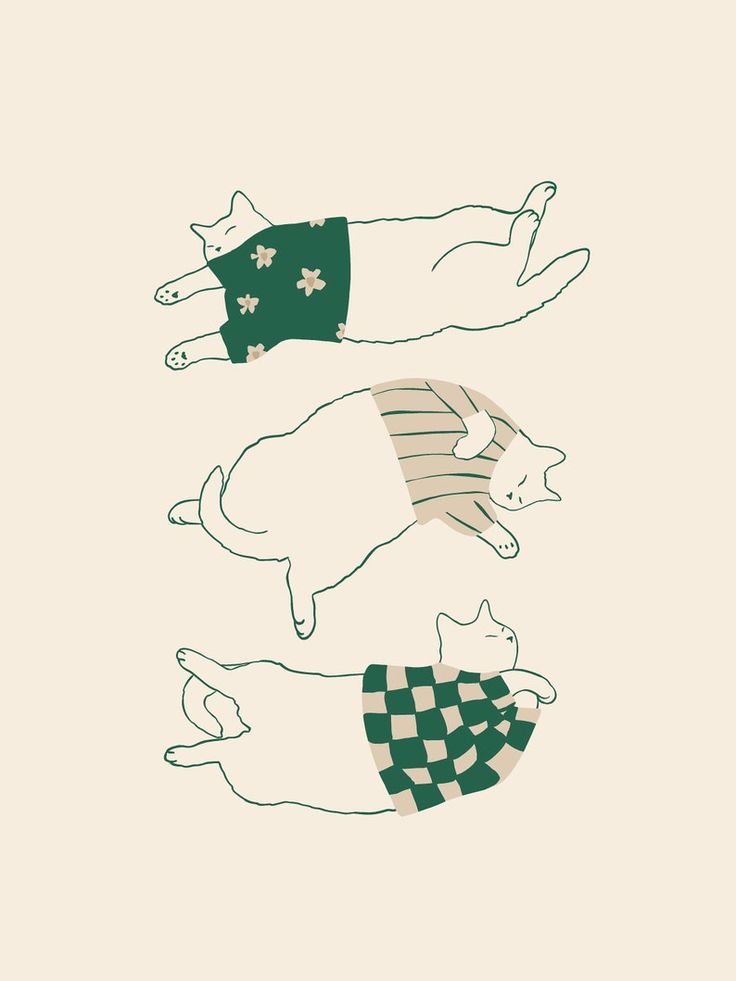 three cats are laying on their back in different positions, one cat is wearing a sweater and the other has a checkered shirt