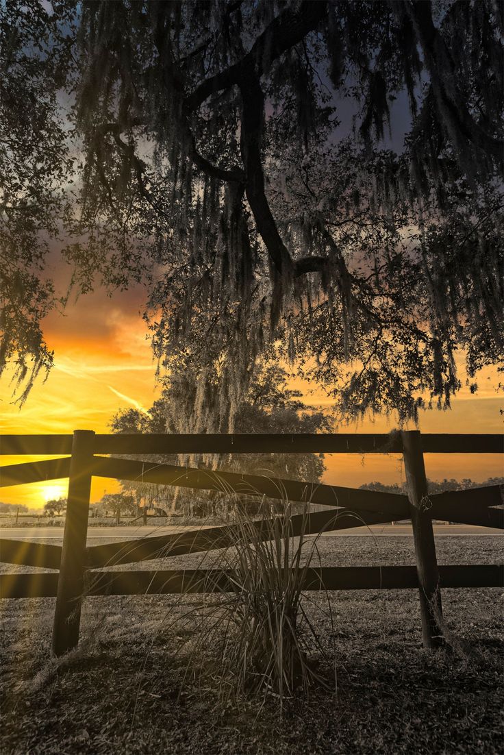 the sun is setting behind a wooden fence