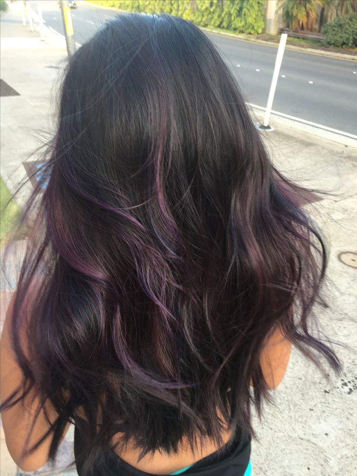 Dark Hair W Purple Highlights, Purple Underside Hair, Brown Hair With Purple Highlights Subtle, Brunette With Fun Color Highlights, Purple Blended Hair, Black Hair Plum Highlights, Purple Hair Ideas Highlights, Purple Brown Hair Highlights, Brown Hair With Hair Dye