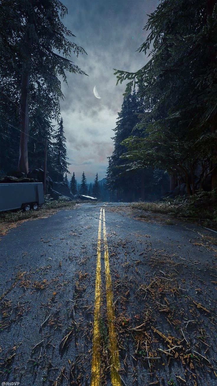 an empty road in the middle of some trees