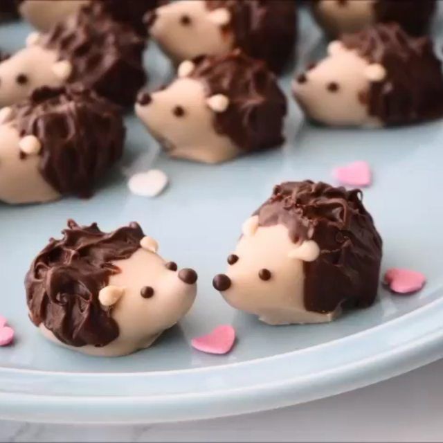 chocolate hedges are arranged on a blue plate