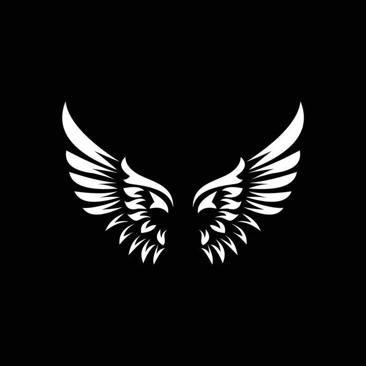 white wings on a black background for the logo or emblem design, it looks like an angel