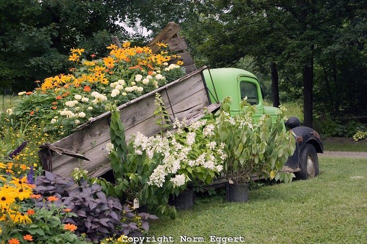 an old truck is loaded with flowers and plants