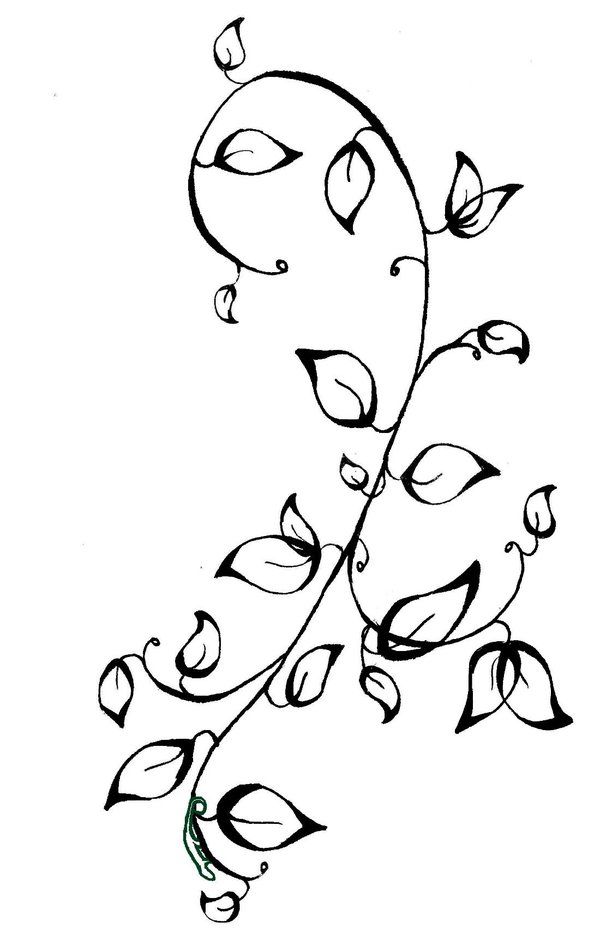 a black and white drawing of a branch with leaves