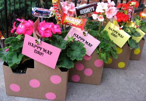 three planters with pink and yellow flowers in them are decorated with happy may day signs