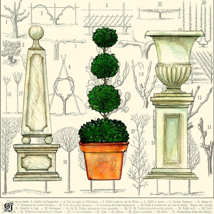 Garden Topiary Poster Print - Ginny Joyner-VARPDX34753D Image 1 Garden Topiary, Striped Sheets, Stock Paper, Fine Arts Posters, Outdoor Entertaining, Paper Stock, Art Poster, Fine Art Print, Posters Art Prints