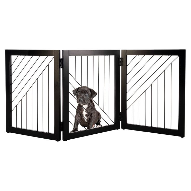 a dog is sitting in an open gate