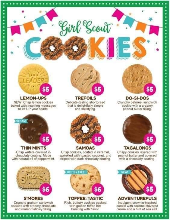 the girl scout cookies poster is shown with instructions to make it look like they are ready for