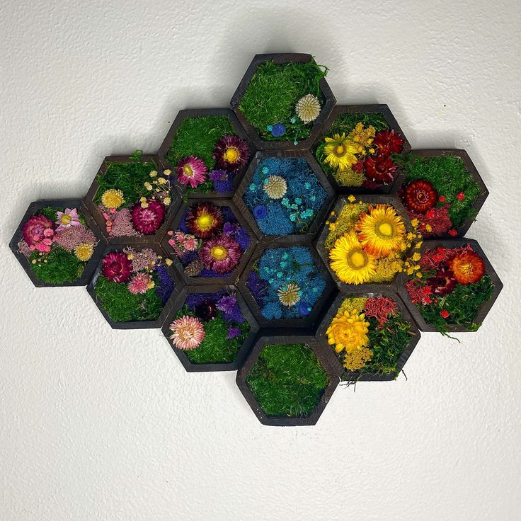 an arrangement of flowers arranged in hexagons on the wall