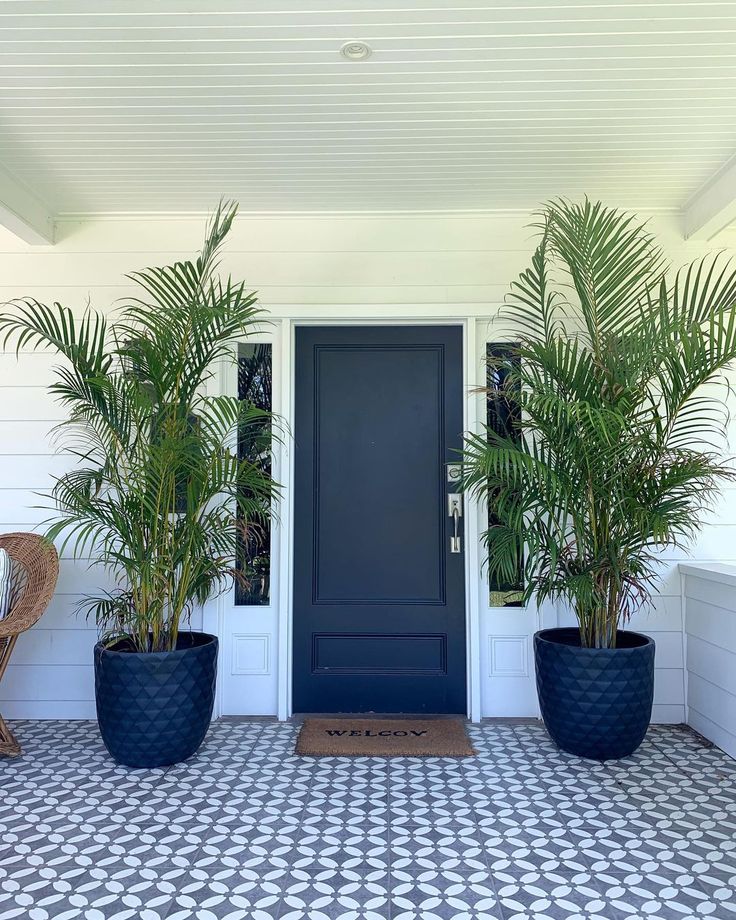 two large potted plants sit on the front porch of a house with a blue door