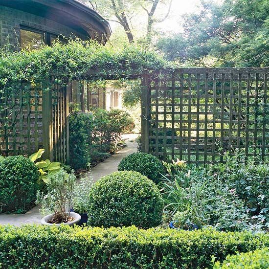 a garden with hedges and potted plants