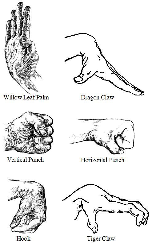 different types of hands and their functions