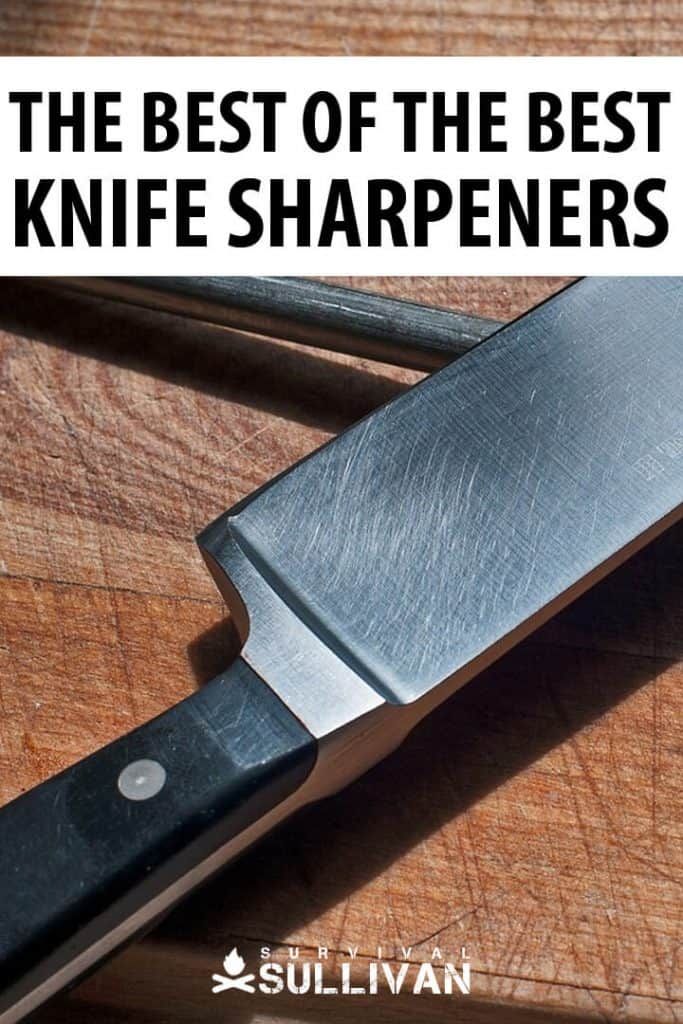 the best of the best knife sharpers