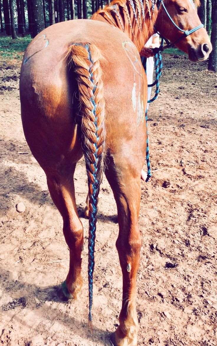 a brown horse with blue braids standing in the dirt