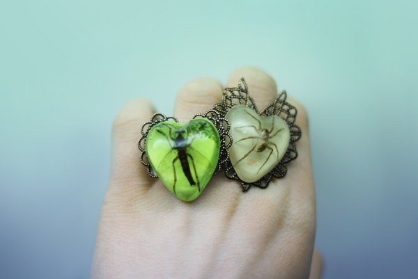 Bug Ring, Insect Ring, Bug Jewelry, Creepy Costumes, Beautiful Bugs, Insect Jewelry, Halloween Make Up, Funky Jewelry, Pet Costumes