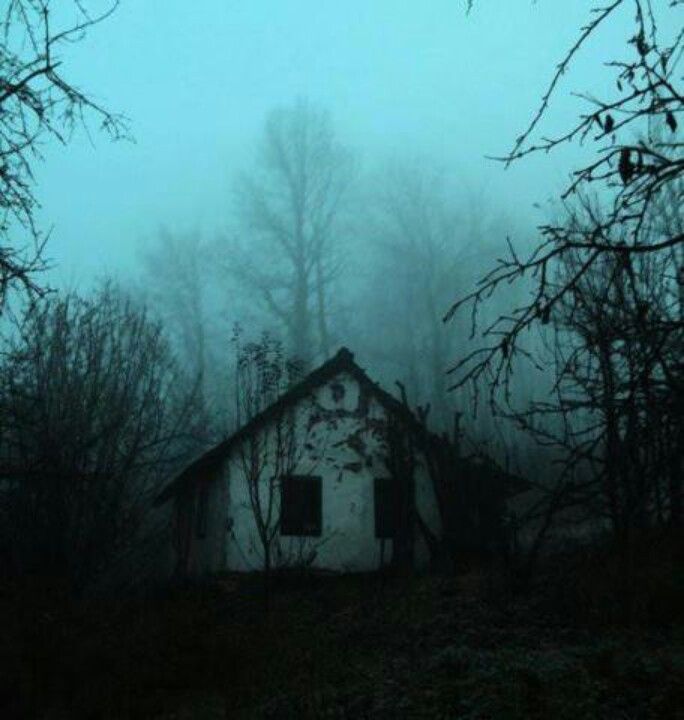 an old abandoned building in the woods on a foggy day