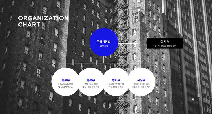 the organization chart is displayed in front of tall buildings with blue circles on each side