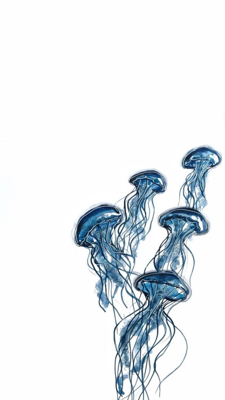 three blue jellyfish floating in the water together on a white background with copy - space