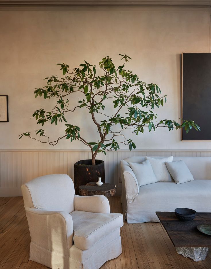 a living room with white couches and a tree in the corner on the wall