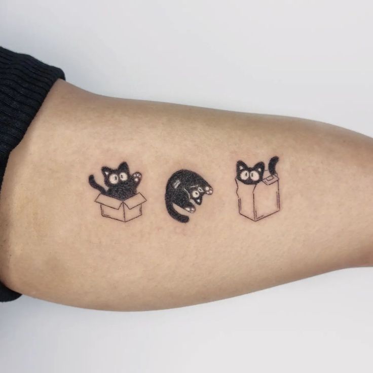 three cats in a box tattoo on the arm