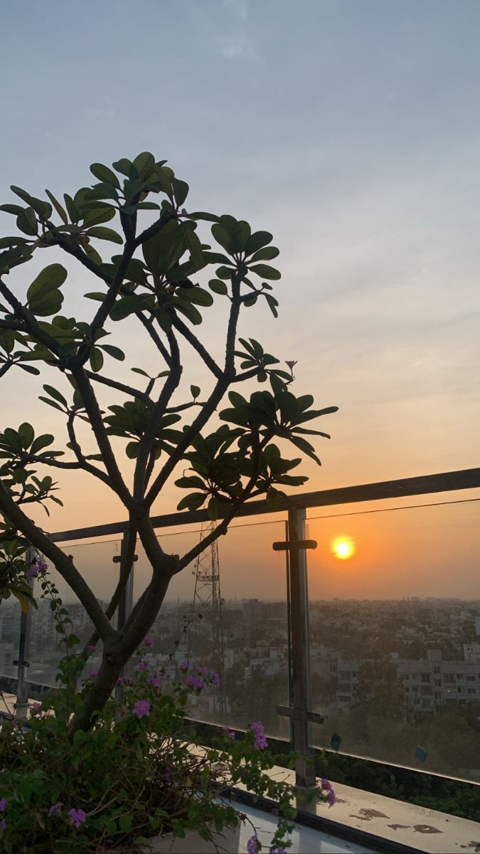 the sun is setting behind a tree on top of a building with flowers in front of it