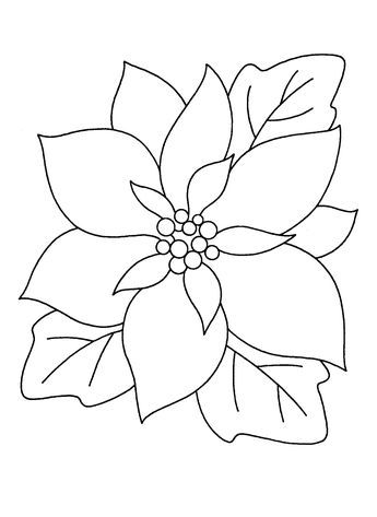 the outline of a poinsettia flower with green leaves and berries on it