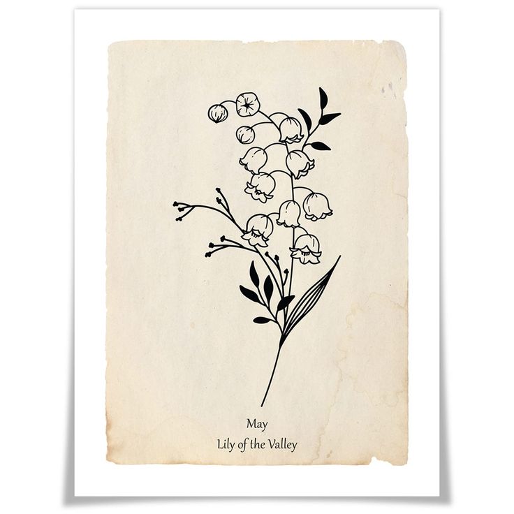 a black and white drawing of flowers on a piece of paper with the words may lily of the valley