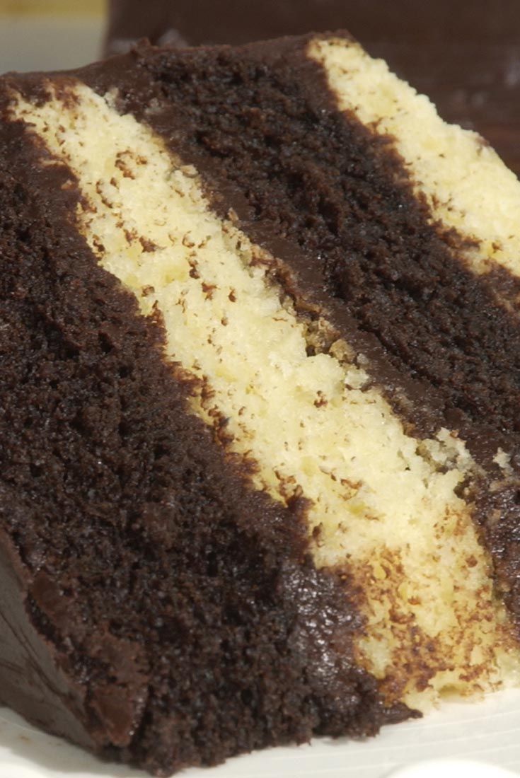 a piece of chocolate cake with white frosting