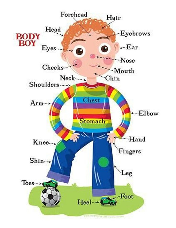 a boy with different parts of his body in front of him and the words below him