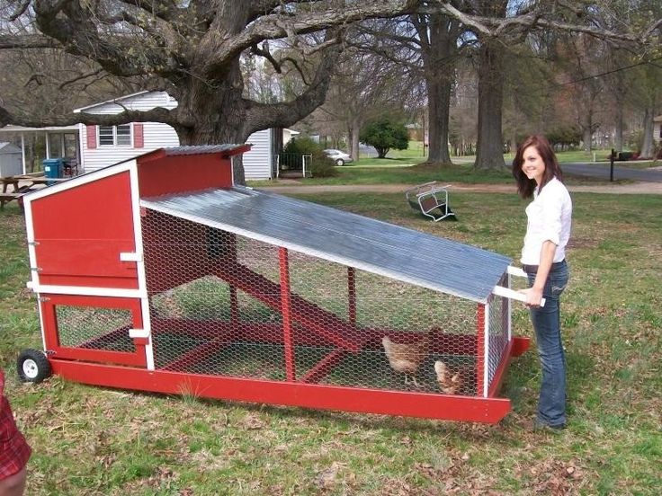 a woman standing next to a red chicken coop