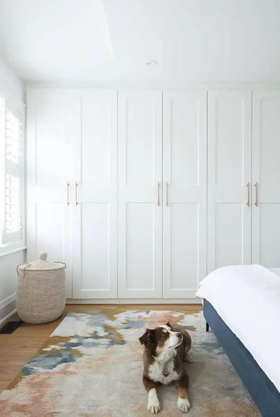 a dog sitting on the floor in front of a white closet and bed with drawers