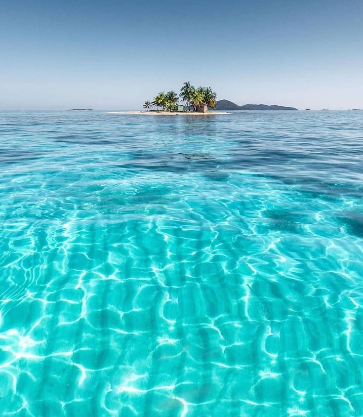 an island in the middle of the ocean with palm trees on it's side