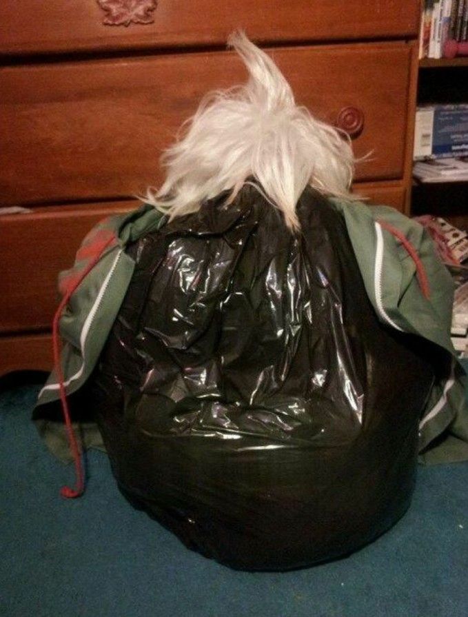 a dog in a bag sitting on the floor next to a dresser and bookcase