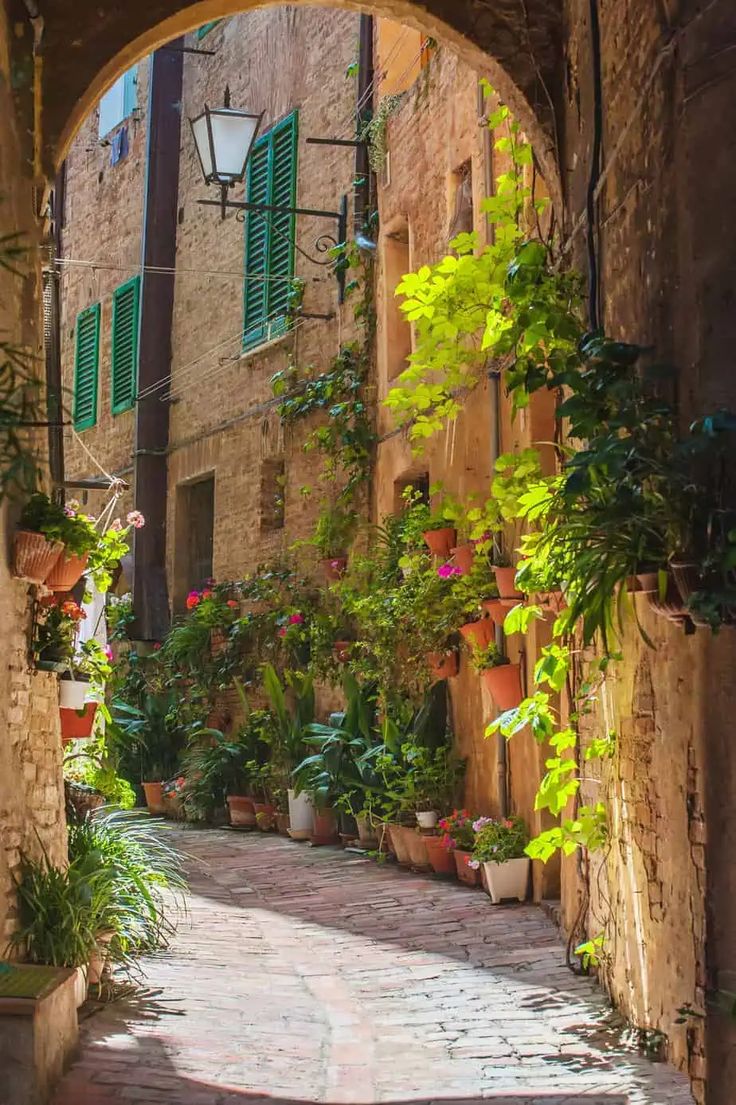 an alley way with potted plants on either side