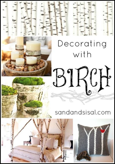 a collage of photos with white birch trees and text overlay that says decor with birch