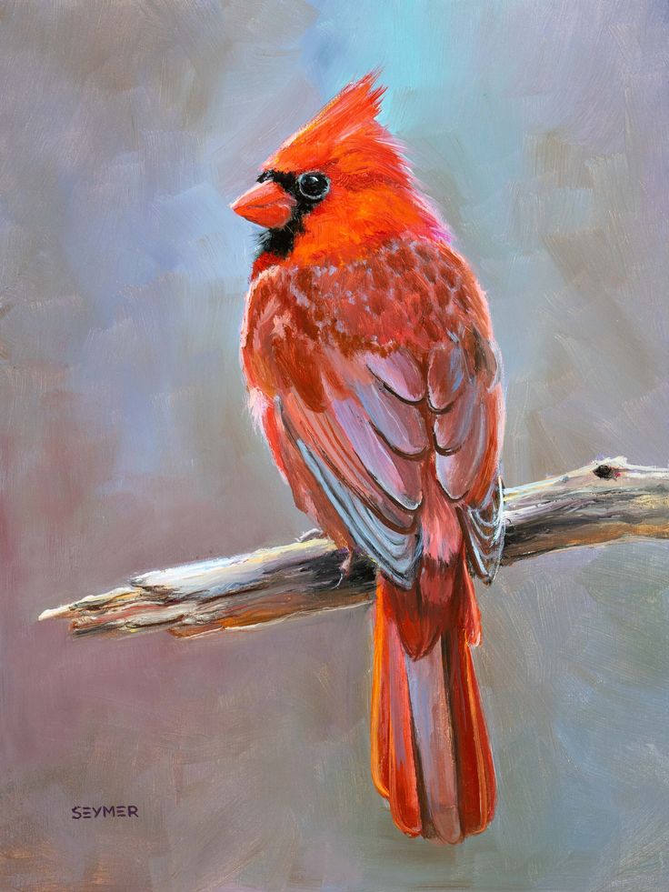 a painting of a red bird perched on a branch