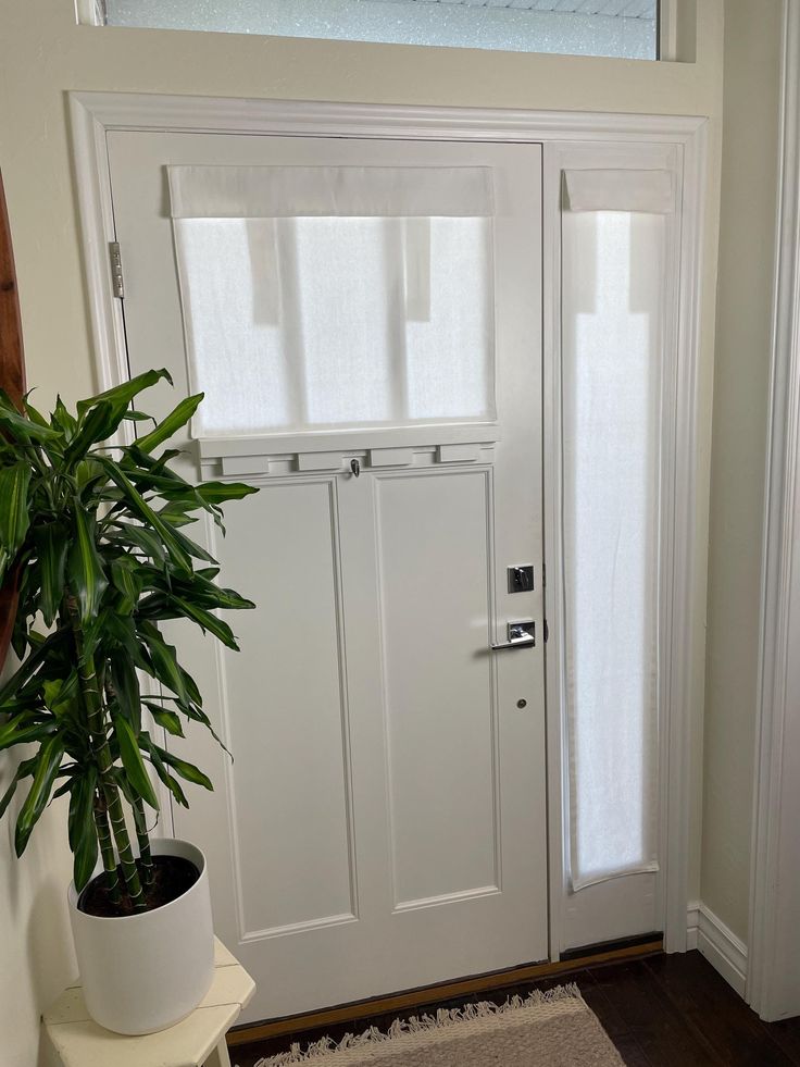 a white door with a potted plant next to it