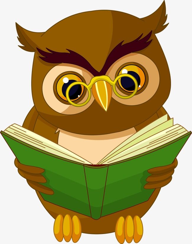 an owl is reading a book with big eyes