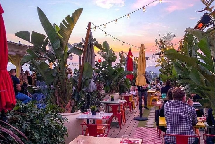 people are sitting at tables in an outdoor restaurant with plants and umbrellas on the roof