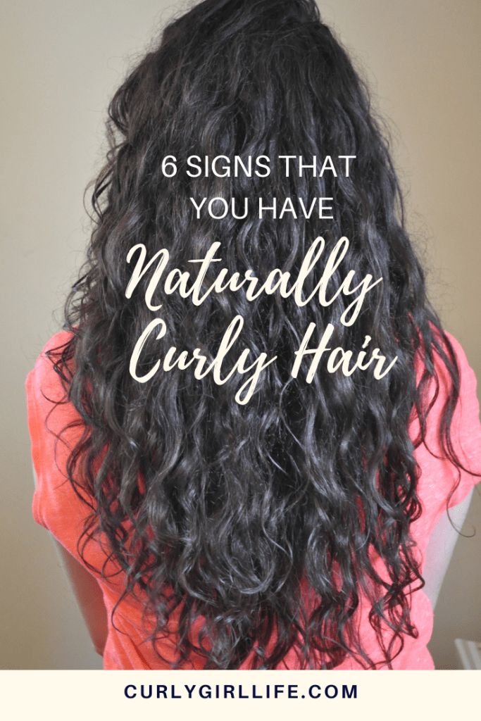 6 Signs That You Have Naturally Curly Hair (Surprise!) - Curly Girl Life Bump Hairstyles, Dark Curly Hair, Naturally Curly Hair, Curly Hair Updo, Hairdos For Short Hair, Curly Girl Method, Curly Hair Inspiration, Curly Hair Routine, Curly Hair With Bangs