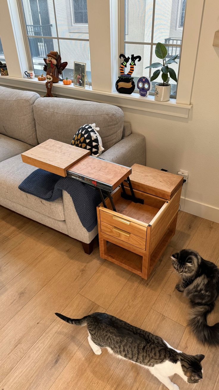 two cats playing on the floor in front of a couch with a coffee table and end tables