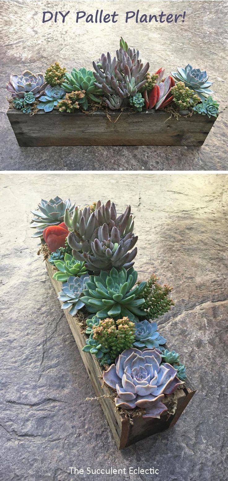 two different angles of the same succulent planter