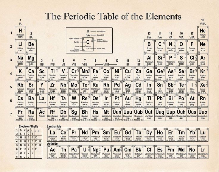 PRICES MAY VARY. Periodic Table of Elements  Tabla Periodica con Elementos Reales  This poster is printed on premium 36lb matte paper with fade resistant, premium inks and includes a white border on all sides to allow for matting and framing. Laboratory Gifts, Chemistry Poster, Periodic Table Poster, The Periodic Table Of Elements, Boys Bed, Chemistry Posters, Science Posters, Element Chemistry, Focus Boards