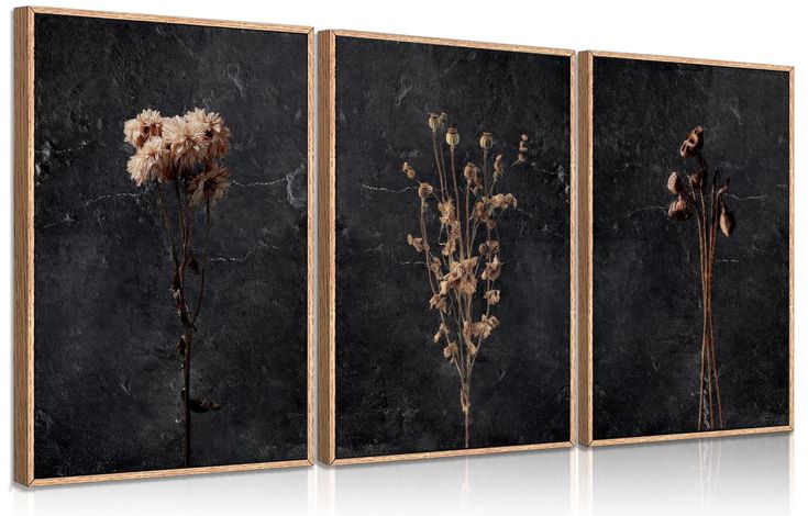 PRICES MAY VARY. Moody Dark Floral Wall Art : This floral wall art, showcasing three wilted floral print set against a dark backdrop, exudes a simplicity that's both elegant and substantial. Its understated design makes it a versatile piece for home decor or as a thoughtful and stylish gift for a friend Minimalist Black Wildflower Wall Decor Pictures : Elevate your space with this minimalist wildflower wall decor with its dark elements set against elegant hues. Whether you're looking to adorn a Wildflower Wall, Bed Wall Decor, Moody Decor, Stil Rustic, Flower Canvas Wall Art, Botanical Decor, Wall Decor Pictures, Flower Canvas, Farmhouse Wall Decor